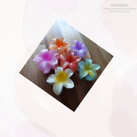 โ  Small hair clips