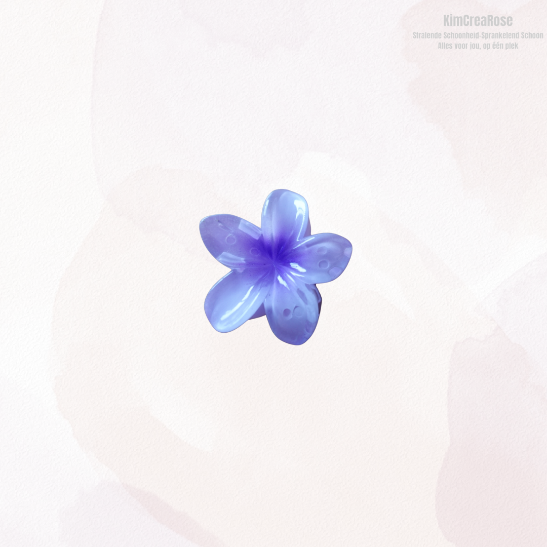 ≠ Kleine haarspeldjes