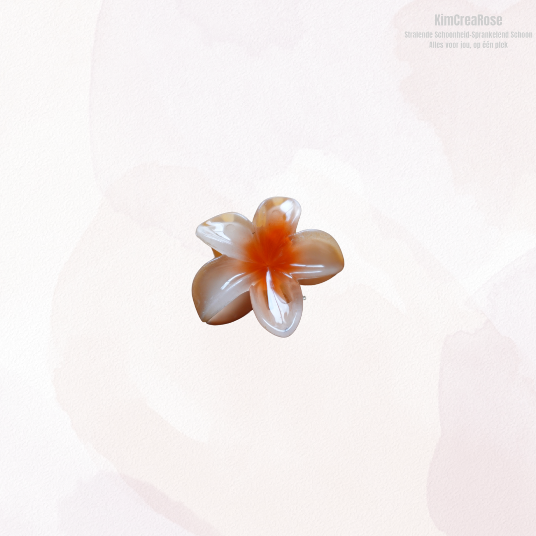 ≠ Kleine haarspeldjes