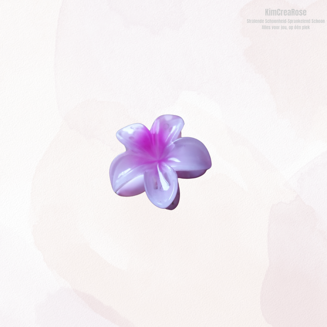 ≠ Kleine haarspeldjes