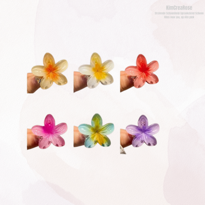 ≠ Kleine haarspeldjes