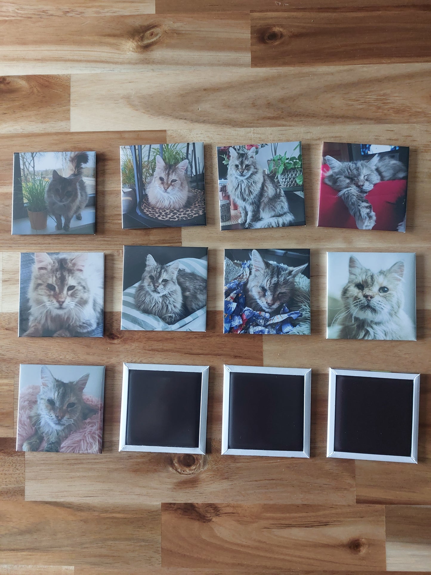 Fotomagneten
