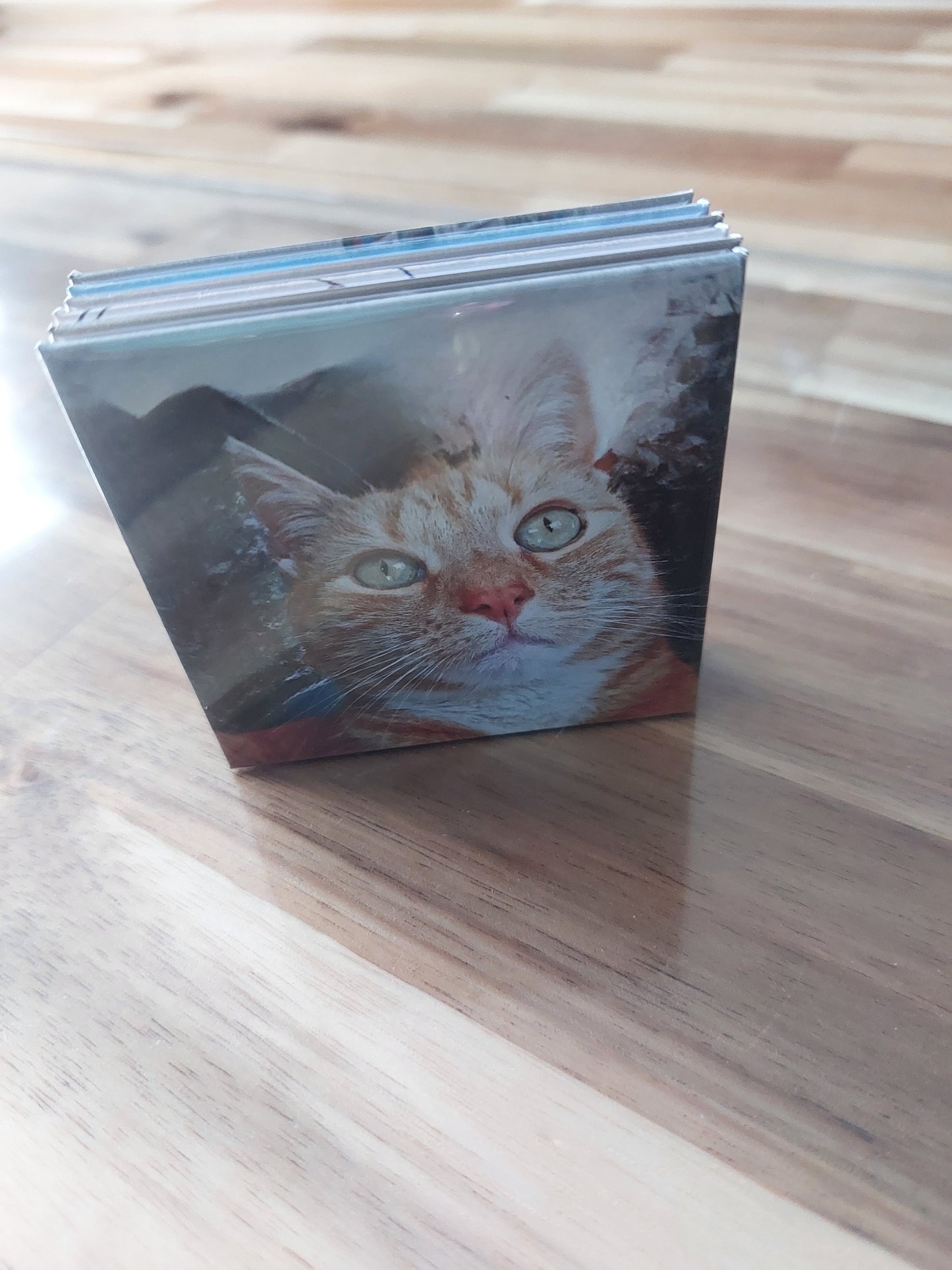 Fotomagneten