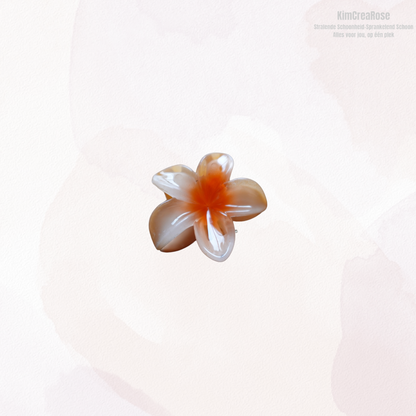 ≠ Kleine haarspeldjes