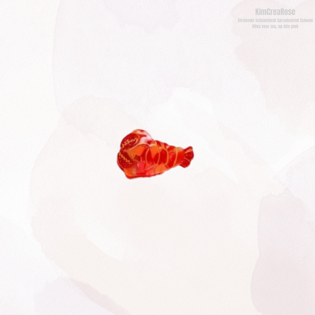 🐠🐚 Schattige Zeedieren Haarspeldjes 🌊✨