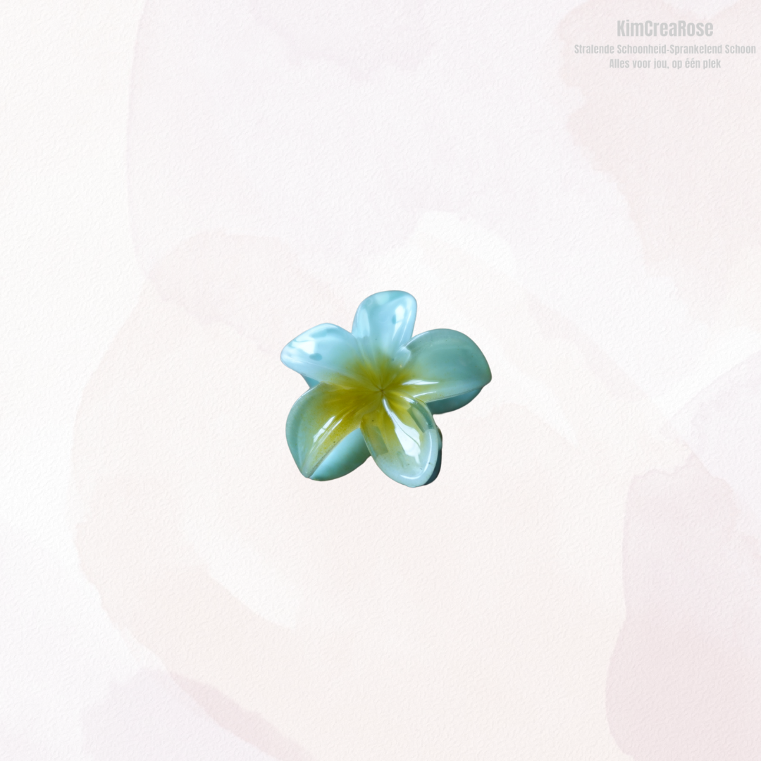 ≠ Kleine haarspeldjes