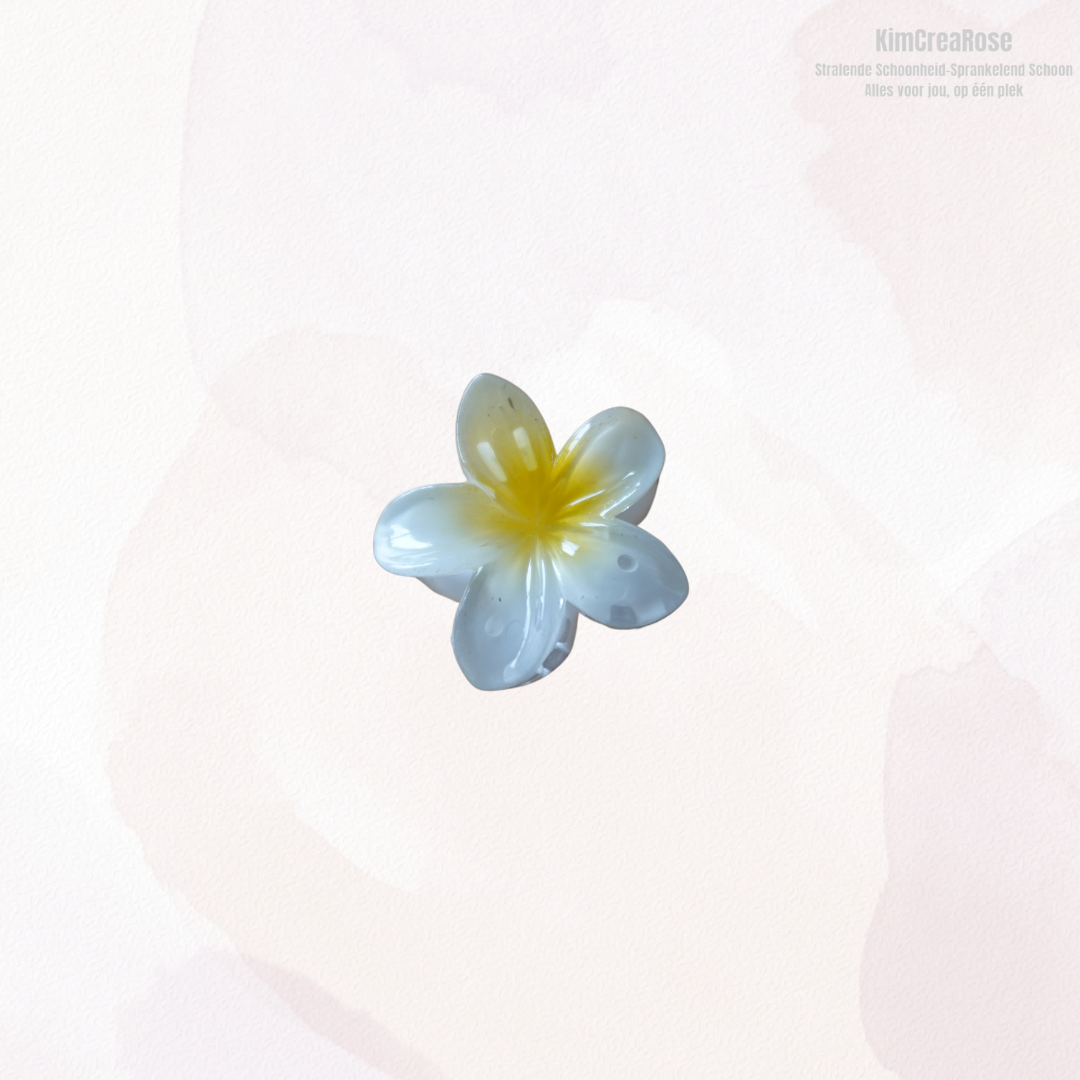 ≠ Kleine haarspeldjes