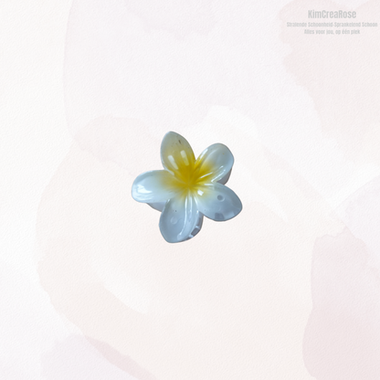 ≠ Kleine haarspeldjes