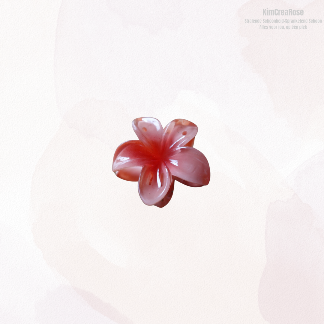 ≠ Kleine haarspeldjes